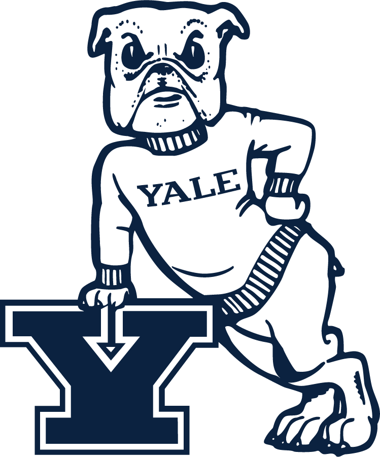 Yale Bulldogs 2019-Pres Secondary Logo iron on transfers for clothing